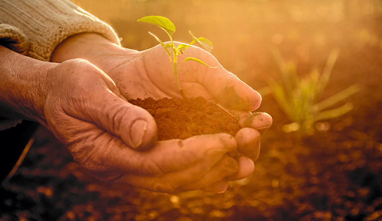 Realizamos un trabajo constante de estudio para reducir el impacto sobre nuestro ecosistema